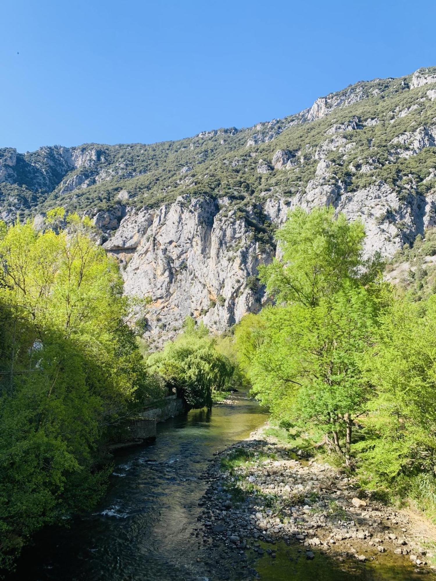 Aude Escape Bed & Breakfast Saint-Martin-Lys Екстериор снимка
